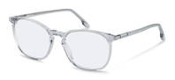 Rodenstock-Bril-R5359-lightgrey/silver