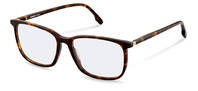 Rodenstock-Bril-R5360-havana/gold