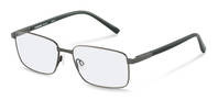 Rodenstock-Bril-R7130-darkgreen