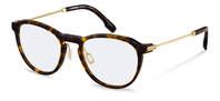 Rodenstock-Bril-R8031-havana/gold