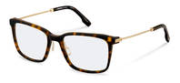 Rodenstock-Bril-R8032-havana/gold