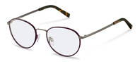 Rodenstock-Bril-R2656-havana/gunmetal