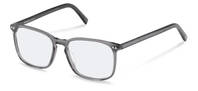 Rodenstock-Bril-R5357-grey