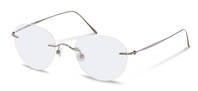 Rodenstock-Bril-R7084-titanium