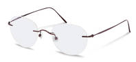 Rodenstock-Bril-R7084-brown