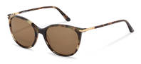 Rodenstock-Zonnebril-R3322-havana/gold