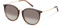 Rodenstock-Zonnebril-R3333-browngradient