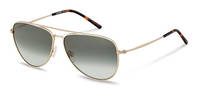 Rodenstock-Zonnebril-R1425-gold/havana