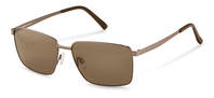 Rodenstock-Zonnebril-R1443-brown/darkbrown