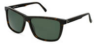 Rodenstock-Zonnebril-R3327-darkhavana