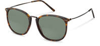 Rodenstock-Zonnebril-R3334-havana