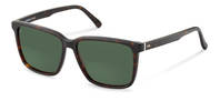Rodenstock-Zonnebril-R3336-havana