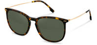 Rodenstock-Zonnebril-R3342-havana/gold