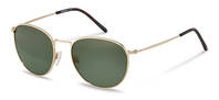 Rodenstock-Zonnebril-R1426-gold/havana