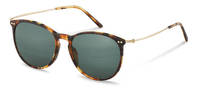 Rodenstock-Zonnebril-R3312-havana/gold